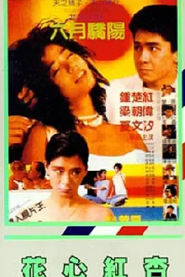 日本二区电影