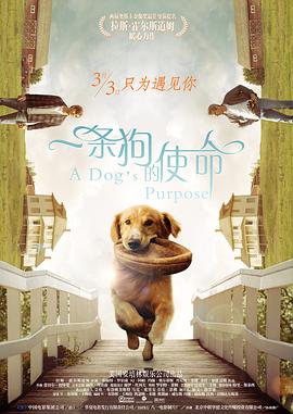 www.91视频.com