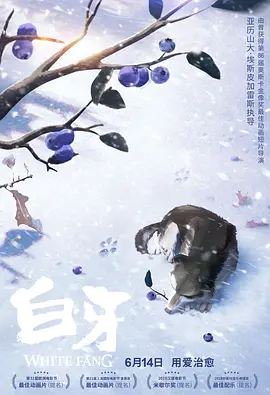五月婷婷在线观看